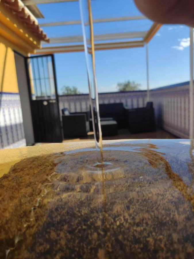 科爾多瓦La Terraza Del Puente Y Mezqt-Catedral公寓 外观 照片